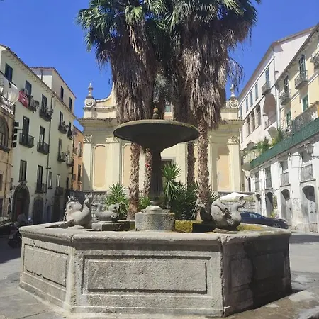 Alchemilla * Salerno
